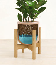 Load image into Gallery viewer, Glossy Pink stand:bamboo
