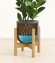 Load image into Gallery viewer, Iron Gray stand:bamboo
