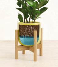 Load image into Gallery viewer, Key Lime Yellow stand:bamboo
