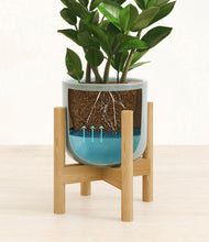 Load image into Gallery viewer, Reactive Aqua stand:bamboo
