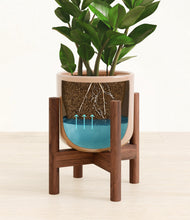 Load image into Gallery viewer, Glossy Pink stand:walnut
