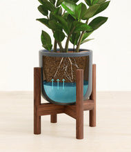 Load image into Gallery viewer, Iron Gray stand:walnut
