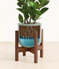 Load image into Gallery viewer, Reactive Aqua stand:walnut
