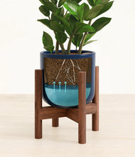 Load image into Gallery viewer, Twilight Blue stand:walnut
