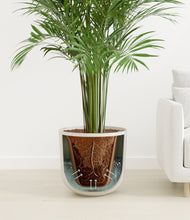 Load image into Gallery viewer, Natural Bamboo
