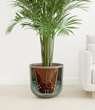 Load image into Gallery viewer, Sage Green
