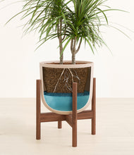 Load image into Gallery viewer, Sandy Pink stand:walnut
