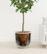 Load image into Gallery viewer, Natural Bamboo
