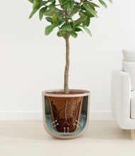 Load image into Gallery viewer, Sandy Pink
