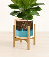 Load image into Gallery viewer, Cream stand:bamboo
