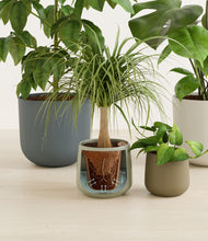 Load image into Gallery viewer, Earthy stand:all

