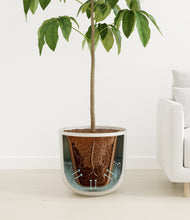 Load image into Gallery viewer, Natural Bamboo
