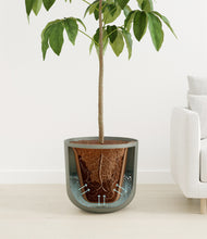 Load image into Gallery viewer, Sage Green
