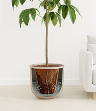 Load image into Gallery viewer, Sandy Pink
