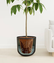 Load image into Gallery viewer, Stone Black
