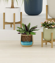 Load image into Gallery viewer, Earthy stand:six_stands
