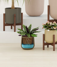 Load image into Gallery viewer, Woodland stand:six_stands
