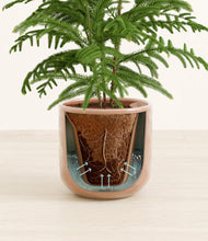 Load image into Gallery viewer, Hammered Peach Pink stand:all
