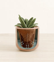 Load image into Gallery viewer, Hammered Peach Pink stand:all
