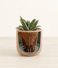 Load image into Gallery viewer, Striped Peach Pink stand:all
