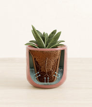 Load image into Gallery viewer, Hammered Rose Pink stand:all
