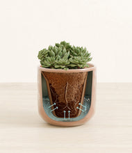 Load image into Gallery viewer, Hammered Peach Pink stand:all
