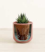 Load image into Gallery viewer, Hammered Rose Pink stand:all
