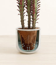 Load image into Gallery viewer, Hammered Ivory stand:all
