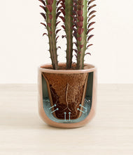 Load image into Gallery viewer, Hammered Peach Pink stand:all
