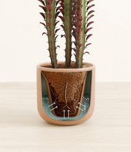 Load image into Gallery viewer, Striped Peach Pink stand:all
