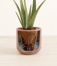 Load image into Gallery viewer, Hammered Rose Pink stand:all
