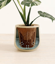 Load image into Gallery viewer, Almond Green stand:all

