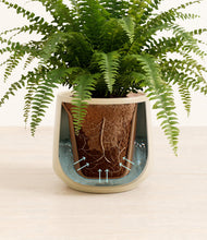 Load image into Gallery viewer, Almond Green stand:all

