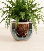 Load image into Gallery viewer, Desert Brown stand:all
