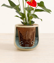 Load image into Gallery viewer, Almond Green stand:all
