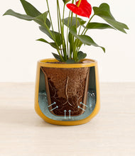 Load image into Gallery viewer, Mustard stand:all
