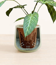 Load image into Gallery viewer, Turquoise stand:all
