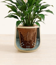 Load image into Gallery viewer, Almond Green stand:all
