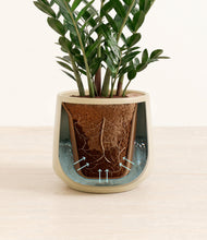 Load image into Gallery viewer, Almond Green stand:all
