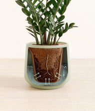 Load image into Gallery viewer, Turquoise stand:all
