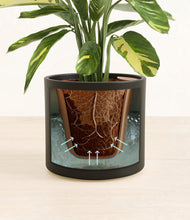 Load image into Gallery viewer, Black stand:all
