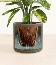 Load image into Gallery viewer, Dark Olive stand:all
