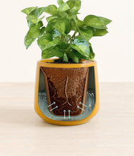 Load image into Gallery viewer, Mustard stand:all
