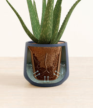 Load image into Gallery viewer, Deep Navy stand:all
