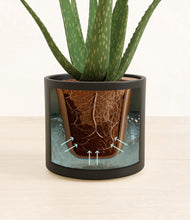 Load image into Gallery viewer, Black stand:all
