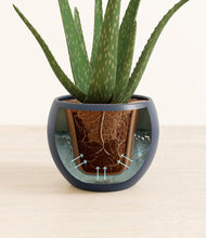 Load image into Gallery viewer, Deep Navy stand:all
