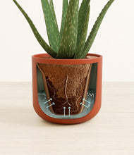 Load image into Gallery viewer, Earth Red stand:all
