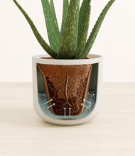 Load image into Gallery viewer, Natural Bamboo stand:all
