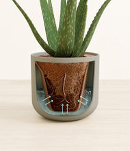 Load image into Gallery viewer, Sage Green stand:all
