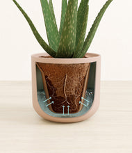 Load image into Gallery viewer, Sandy Pink stand:all
